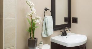 3 Plants That Will Grow Better In Your Bathroom 2 3 Plants That Will Grow Better In Your Bathroom