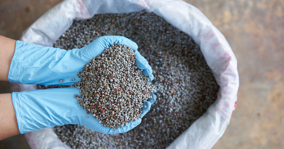 Homemade Yeast Fertilizer