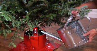 How To Water The Christmas Tree And Keep It Fresh Longer